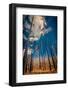 The Burn 1-Ursula Abresch-Framed Photographic Print