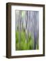 The Burn 2-Ursula Abresch-Framed Photographic Print