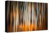 The Burn 2-Ursula Abresch-Stretched Canvas