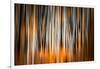 The Burn 2-Ursula Abresch-Framed Photographic Print