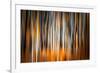 The Burn 2-Ursula Abresch-Framed Photographic Print