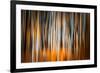 The Burn 2-Ursula Abresch-Framed Photographic Print