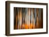 The Burn 2-Ursula Abresch-Framed Photographic Print