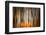 The Burn 2-Ursula Abresch-Framed Photographic Print