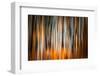 The Burn 2-Ursula Abresch-Framed Photographic Print