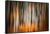 The Burn 2-Ursula Abresch-Framed Stretched Canvas