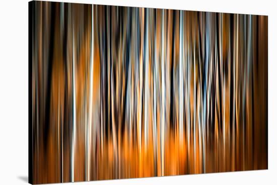 The Burn 2-Ursula Abresch-Stretched Canvas