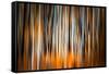 The Burn 2-Ursula Abresch-Framed Stretched Canvas