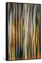 The Burn 3-Ursula Abresch-Framed Stretched Canvas