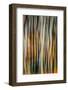 The Burn 3-Ursula Abresch-Framed Photographic Print