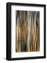 The Burn 3-Ursula Abresch-Framed Photographic Print