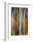 The Burn 3-Ursula Abresch-Framed Photographic Print