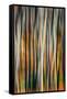 The Burn 3-Ursula Abresch-Framed Stretched Canvas