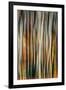 The Burn 3-Ursula Abresch-Framed Photographic Print