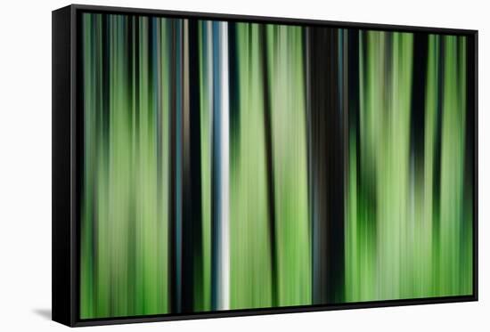 The Burn in Spring-Ursula Abresch-Framed Stretched Canvas