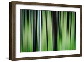 The Burn in Spring-Ursula Abresch-Framed Photographic Print