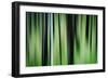 The Burn in Spring-Ursula Abresch-Framed Photographic Print