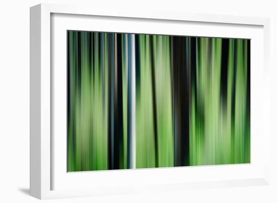 The Burn in Spring-Ursula Abresch-Framed Photographic Print