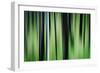 The Burn in Spring-Ursula Abresch-Framed Photographic Print