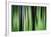 The Burn in Spring-Ursula Abresch-Framed Photographic Print