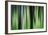 The Burn in Spring-Ursula Abresch-Framed Photographic Print