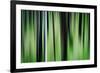 The Burn in Spring-Ursula Abresch-Framed Photographic Print