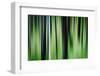 The Burn in Spring-Ursula Abresch-Framed Premium Photographic Print