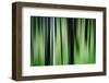 The Burn in Spring-Ursula Abresch-Framed Photographic Print