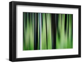 The Burn in Spring-Ursula Abresch-Framed Photographic Print