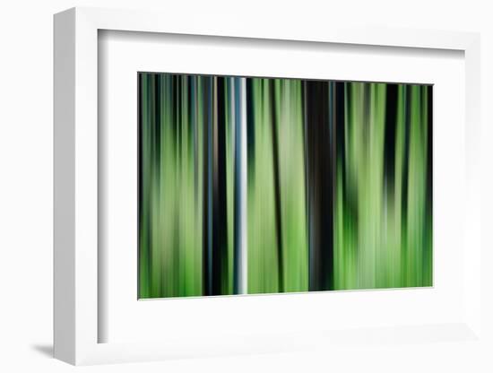 The Burn in Spring-Ursula Abresch-Framed Photographic Print