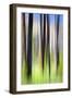 The Burn-Ursula Abresch-Framed Photographic Print