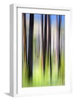 The Burn-Ursula Abresch-Framed Photographic Print