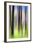 The Burn-Ursula Abresch-Framed Photographic Print