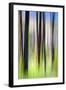 The Burn-Ursula Abresch-Framed Photographic Print