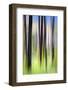 The Burn-Ursula Abresch-Framed Photographic Print