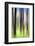 The Burn-Ursula Abresch-Framed Photographic Print