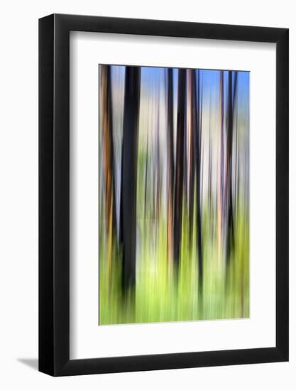 The Burn-Ursula Abresch-Framed Photographic Print