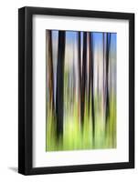 The Burn-Ursula Abresch-Framed Photographic Print