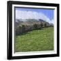 The Burren, Ireland, 1981-Anthony Amies-Framed Giclee Print