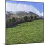 The Burren, Ireland, 1981-Anthony Amies-Mounted Giclee Print