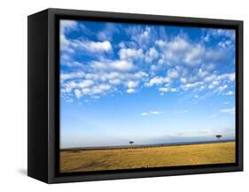 The Bush, Masai Mara National Reserve, Kenya, East Africa, Africa-null-Framed Stretched Canvas