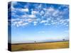 The Bush, Masai Mara National Reserve, Kenya, East Africa, Africa-null-Stretched Canvas