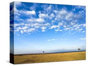 The Bush, Masai Mara National Reserve, Kenya, East Africa, Africa-null-Stretched Canvas