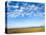 The Bush, Masai Mara National Reserve, Kenya, East Africa, Africa-null-Stretched Canvas