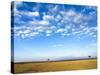 The Bush, Masai Mara National Reserve, Kenya, East Africa, Africa-null-Stretched Canvas