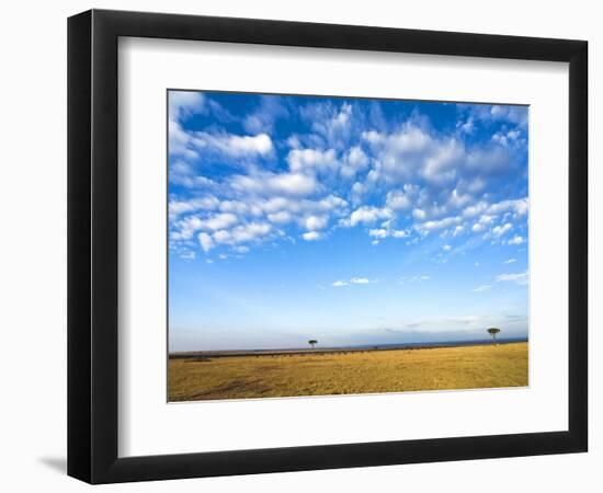 The Bush, Masai Mara National Reserve, Kenya, East Africa, Africa-null-Framed Photographic Print