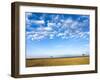 The Bush, Masai Mara National Reserve, Kenya, East Africa, Africa-null-Framed Photographic Print