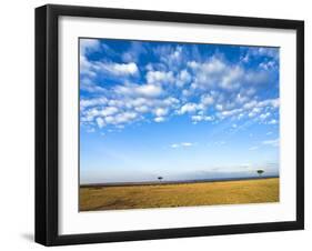 The Bush, Masai Mara National Reserve, Kenya, East Africa, Africa-null-Framed Photographic Print