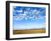 The Bush, Masai Mara National Reserve, Kenya, East Africa, Africa-null-Framed Photographic Print