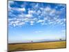 The Bush, Masai Mara National Reserve, Kenya, East Africa, Africa-null-Mounted Photographic Print